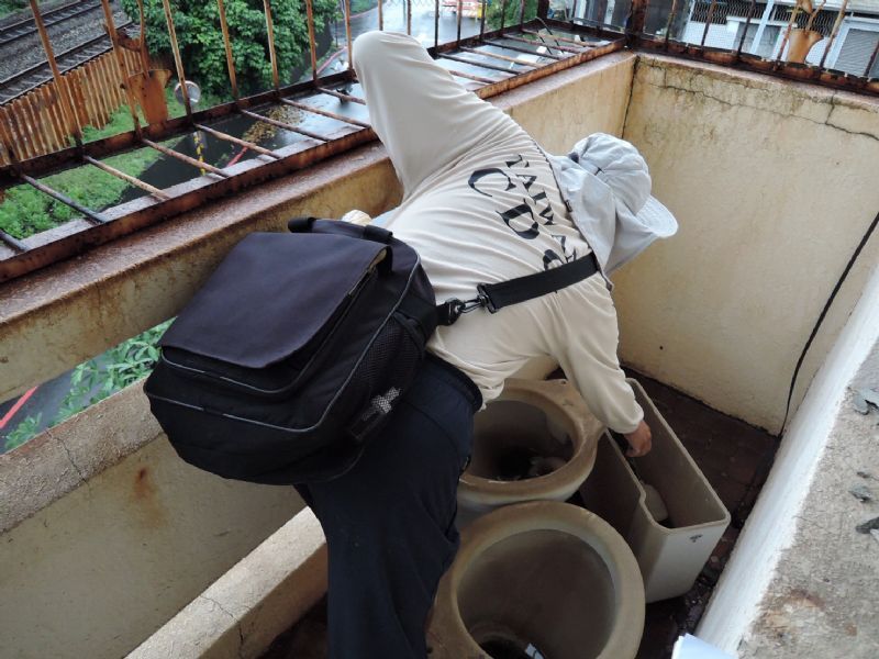 降雨過後儘速清除積水容器，避免孳生病媒蚊